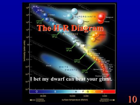 10 The H-R Diagram I bet my dwarf can beat your giant.