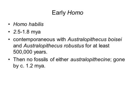 Early Homo Homo habilis 2.5-1.8 mya contemporaneous with Australopithecus boisei and Australopithecus robustus for at least 500,000 years. Then no fossils.