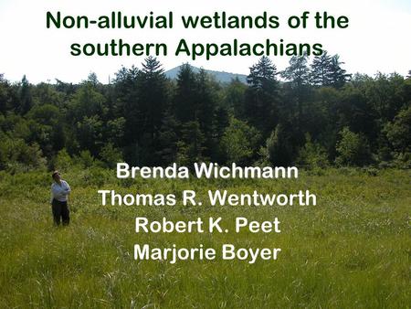 Non-alluvial wetlands of the southern Appalachians Brenda Wichmann Thomas R. Wentworth Robert K. Peet Marjorie Boyer.