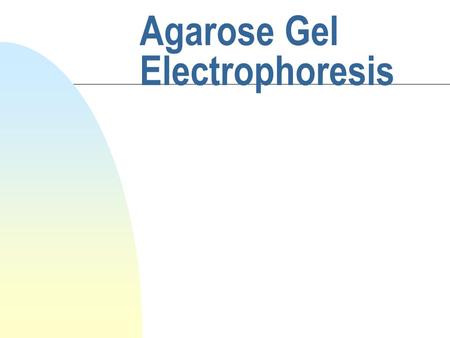 Agarose Gel Electrophoresis. What does gel electrophoresis do? n employs electromotive force to move molecules through a porous gel n separates molecules.
