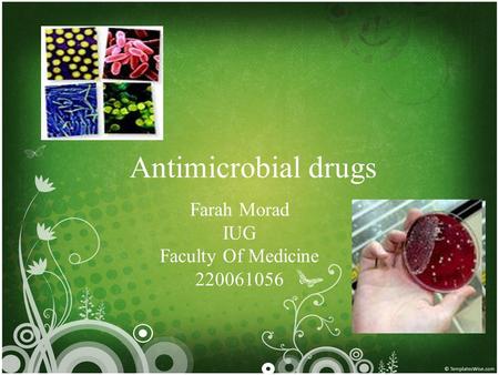 Antimicrobial drugs Farah Morad IUG Faculty Of Medicine 220061056.