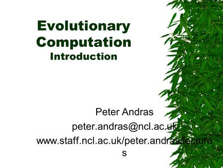 Evolutionary Computation Introduction Peter Andras  s.