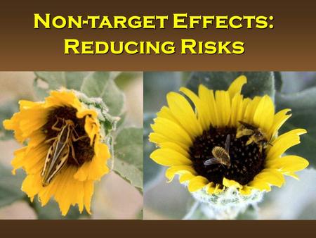 Non-target Effects: Reducing Risks. Risks for Different Groups of Non-target Organisms Source: Food and Agriculture Organization of the UN, 2003.