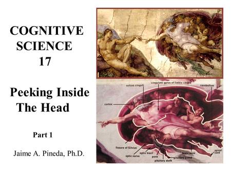 COGNITIVE SCIENCE 17 Peeking Inside The Head Part 1 Jaime A. Pineda, Ph.D.