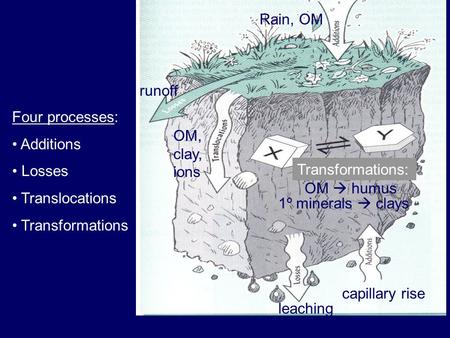 OM  humus 1º minerals  clays OM, clay, ions Transformations: runoff leaching Rain, OM capillary rise Four processes: Additions Losses Translocations.