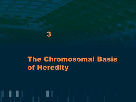 The Chromosomal Basis of Heredity 3. Human Chromosomes Humans have 46 chromosomes organized as 23 pairs which are homologous because each pair contains.