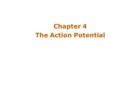 Chapter 4 The Action Potential. Introduction Action Potential in the Nervous System –Conveys information over long distances –Cytosol has negative charge.