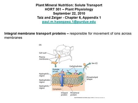Plant Mineral Nutrition: Solute Transport HORT 301 – Plant Physiology September 22, 2010 Taiz and Zeiger - Chapter 6, Appendix 1