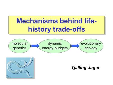 Tjalling Jager molecular genetics evolutionary ecology dynamic energy budgets Mechanisms behind life- history trade-offs.