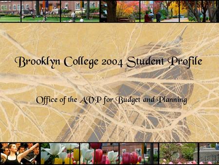 Brooklyn College 2004 Student Profile Office of the AVP for Budget and Planning.