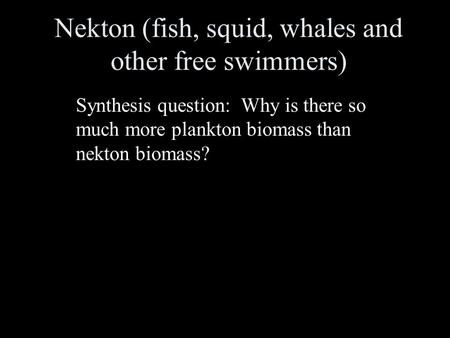 Nekton (fish, squid, whales and other free swimmers) Synthesis question: Why is there so much more plankton biomass than nekton biomass?