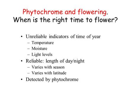 Phytochrome and flowering. When is the right time to flower? Unreliable indicators of time of year –Temperature –Moisture –Light levels Reliable: length.