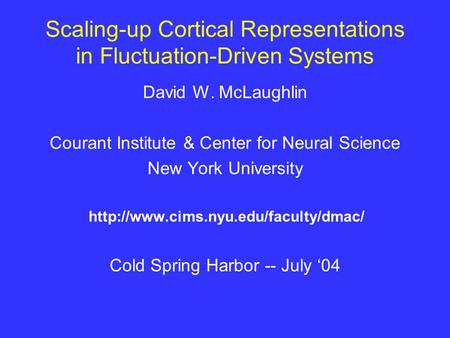 Scaling-up Cortical Representations in Fluctuation-Driven Systems David W. McLaughlin Courant Institute & Center for Neural Science New York University.