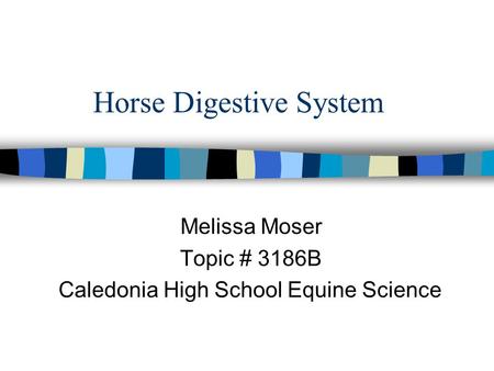 Horse Digestive System Melissa Moser Topic # 3186B Caledonia High School Equine Science.