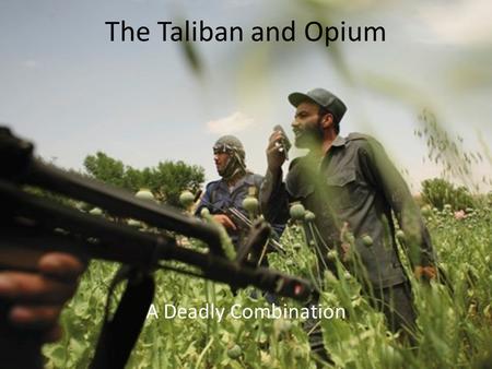 The Taliban and Opium A Deadly Combination. A brief history. Opium has been grown since 3400 B.C. The Taliban was not the first to use Opium to control.