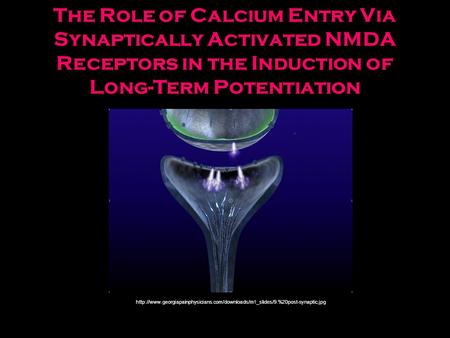 The Role of Calcium Entry Via Synaptically Activated NMDA Receptors in the Induction of Long-Term Potentiation