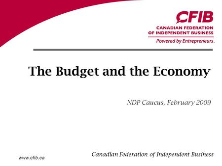 Www.cfib.ca The Budget and the Economy NDP Caucus, February 2009 Canadian Federation of Independent Business.