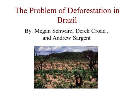 The Problem of Deforestation in Brazil By: Megan Schwarz, Derek Croad, and Andrew Sargent.