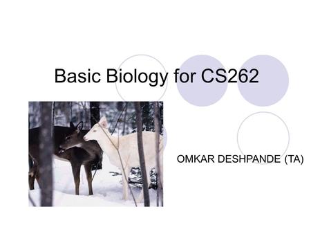 Basic Biology for CS262 OMKAR DESHPANDE (TA) Overview Structures of biomolecules How does DNA function? What is a gene? How are genes regulated?