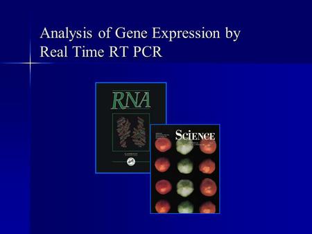 Analysis of Gene Expression by Real Time RT PCR. Broad and Long Term Objective To characterize the expression of ribulose 1-5 bisphosphate carboxylase.