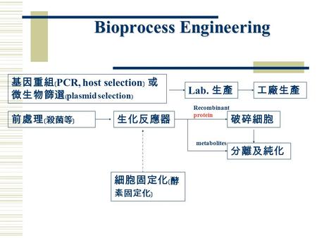 Bioprocess Engineering 基因重組﹝ PCR, host selection ﹞ 或 微生物篩選 ﹝ plasmid selection ﹞ Lab. 生產工廠生產 前處理﹝ 殺菌等 ﹞生化反應器破碎細胞 分離及純化 Recombinant protein metabolites.