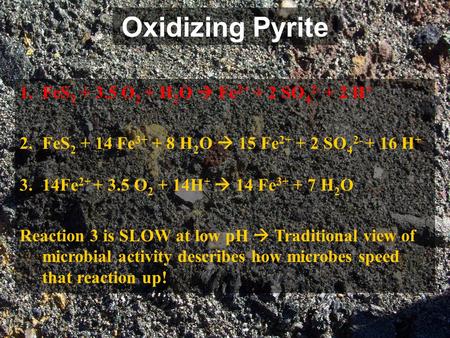Oxidizing Pyrite 1.FeS 2 + 3.5 O 2 + H 2 O  Fe 2+ + 2 SO 4 2- + 2 H + 2.FeS 2 + 14 Fe 3+ + 8 H 2 O  15 Fe 2+ + 2 SO 4 2- + 16 H + 3.14Fe 2+ + 3.5 O 2.