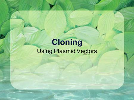 Cloning Using Plasmid Vectors Vector = a molecule used as a vehicle to carry foreign DNA into a host cell Simplest vector = plasmid.