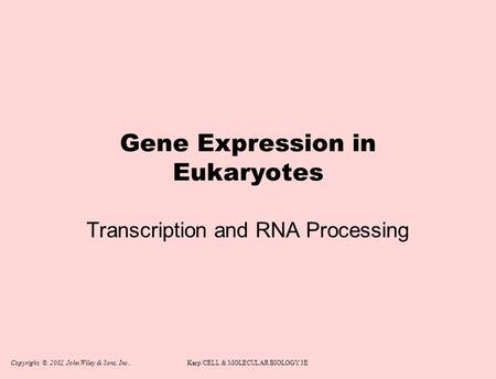 Copyright, ©, 2002, John Wiley & Sons, Inc.,Karp/CELL & MOLECULAR BIOLOGY 3E Gene Expression in Eukaryotes Transcription and RNA Processing.