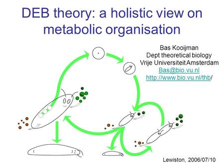 DEB theory: a holistic view on metabolic organisation Bas Kooijman Dept theoretical biology Vrije Universiteit Amsterdam