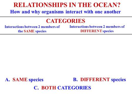 RELATIONSHIPS IN THE OCEAN? CATEGORIES How and why organisms interact with one another Interactions between 2 members of the SAME species Interactions.
