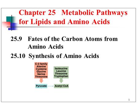 1 25.9 Fates of the Carbon Atoms from Amino Acids 25.10 Synthesis of Amino Acids Chapter 25 Metabolic Pathways for Lipids and Amino Acids.