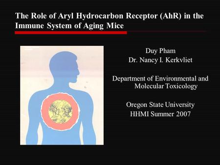 The Role of Aryl Hydrocarbon Receptor (AhR) in the Immune System of Aging Mice Duy Pham Dr. Nancy I. Kerkvliet Department of Environmental and Molecular.