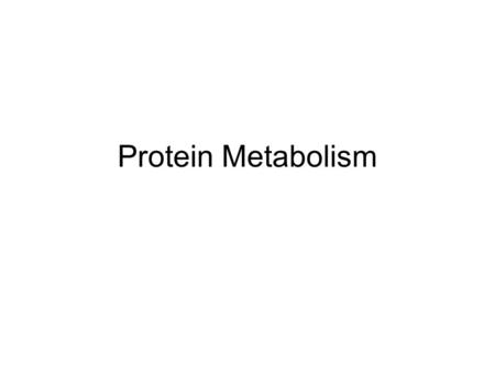 Protein Metabolism. Starvation Amino acids released by proteolysis –Channeled to the liver for gluconeogenesis Although not all amino acids can be made.