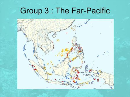 Group 3 : The Far-Pacific. Coral reefs: animal, vegetable or mineral?