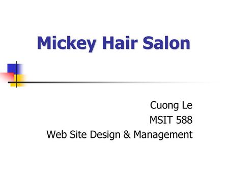 Mickey Hair Salon Cuong Le MSIT 588 Web Site Design & Management.