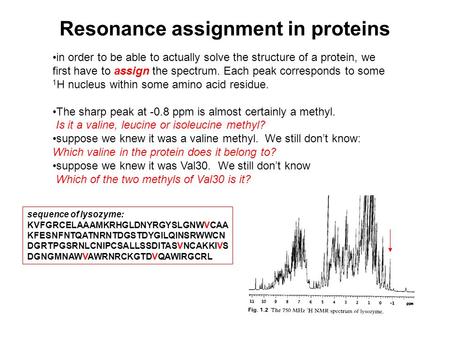 Resonance assignment in proteins sequence of lysozyme: KVFGRCELAAAMKRHGLDNYRGYSLGNWVCAA KFESNFNTQATNRNTDGSTDYGILQINSRWWCN DGRTPGSRNLCNIPCSALLSSDITASVNCAKKIVS.