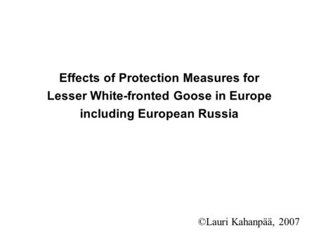 Effects of Protection Measures for Lesser White-fronted Goose in Europe including European Russia ©Lauri Kahanpää, 2007.