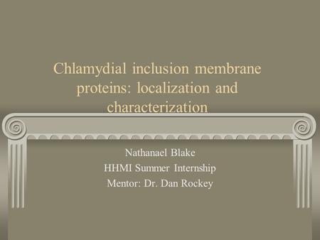 Chlamydial inclusion membrane proteins: localization and characterization Nathanael Blake HHMI Summer Internship Mentor: Dr. Dan Rockey.