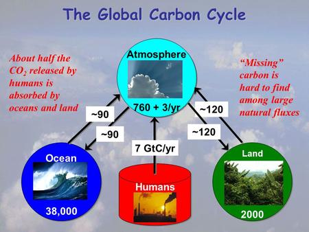 The Global Carbon Cycle Humans Atmosphere 760 + 3/yr Ocean 38,000 Land 2000 ~90 ~120 7 GtC/yr ~90 About half the CO 2 released by humans is absorbed by.