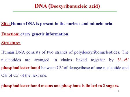 DNA ( Deoxyribonucleic acid ) Site: Human DNA is present in the nucleus and mitochonria Function: carry genetic information. Structure: Human DNA consists.