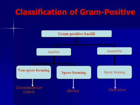 Classification of Gram-Positive