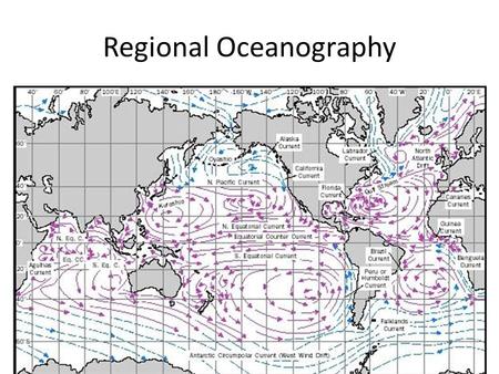 Regional Oceanography. Weddell Sea Ocean Circulation Patterns.