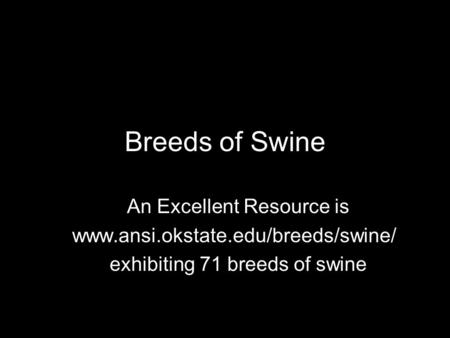 Breeds of Swine An Excellent Resource is www.ansi.okstate.edu/breeds/swine/ exhibiting 71 breeds of swine.