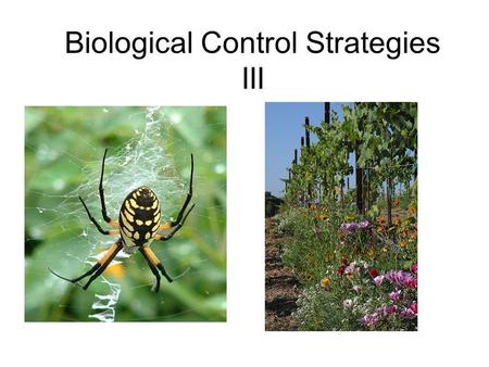 Biological Control Strategies III. Bio-control Strategies Classical Biological Control Augmentation - Inundation - Inoculation Conservation Biological.