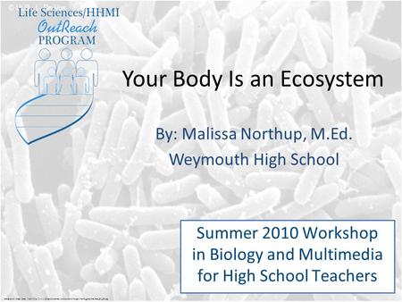 Your Body Is an Ecosystem By: Malissa Northup, M.Ed. Weymouth High School Summer 2010 Workshop in Biology and Multimedia for High School Teachers Background.