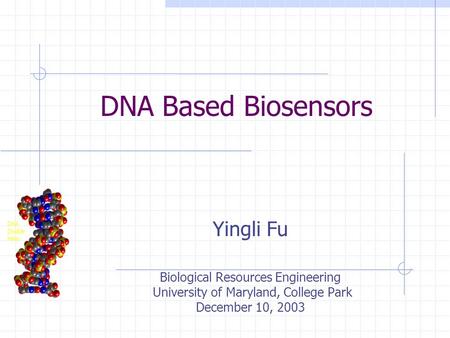 DNA Based Biosensors Yingli Fu Biological Resources Engineering University of Maryland, College Park December 10, 2003.