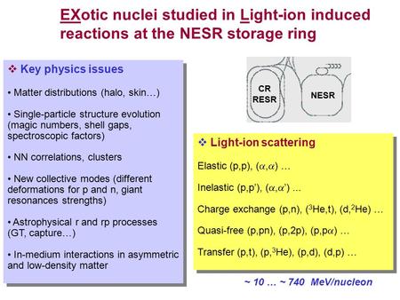 CR RESR NESR  Light-ion scattering Elastic (p,p), ( ,  ) … Inelastic (p,p’), ( ,  ’)... Charge exchange (p,n), ( 3 He,t), (d, 2 He) … Quasi-free (p,pn),