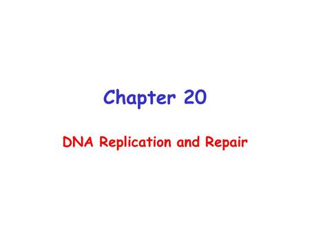 Chapter 20 DNA Replication and Repair. Watson and Crick Predicted Semi- conservative Replication of DNA Watson and Crick: It has not escaped our notice.