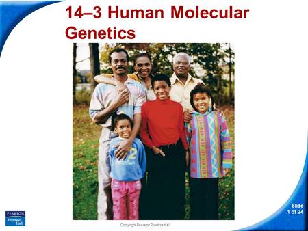 Slide 1 of 24 Copyright Pearson Prentice Hall 14–3 Human Molecular Genetics 14-3 Human Molecular Genetics.