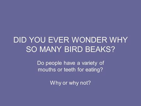 DID YOU EVER WONDER WHY SO MANY BIRD BEAKS? Do people have a variety of mouths or teeth for eating? Why or why not?